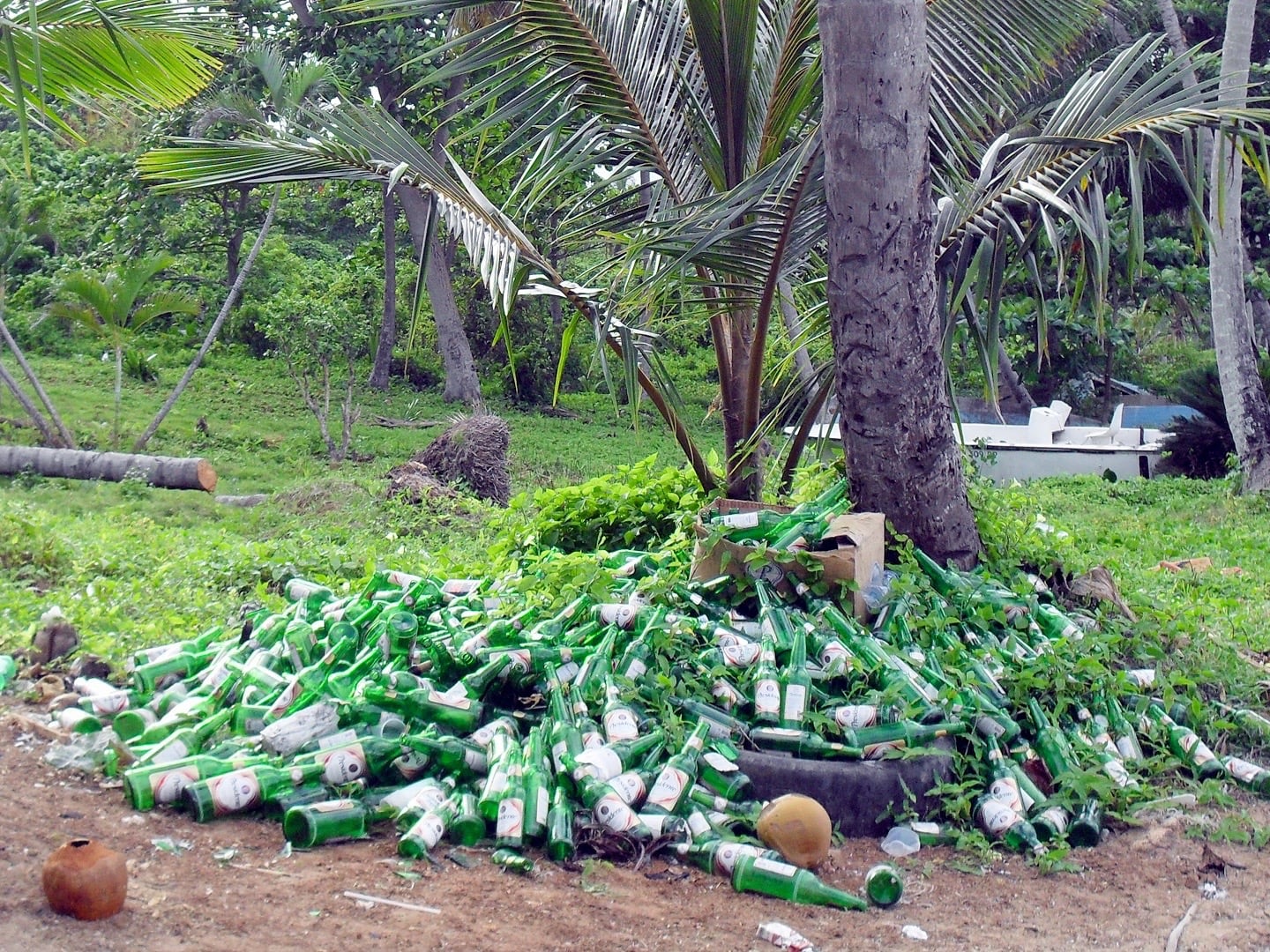 pile of empty beer bottles