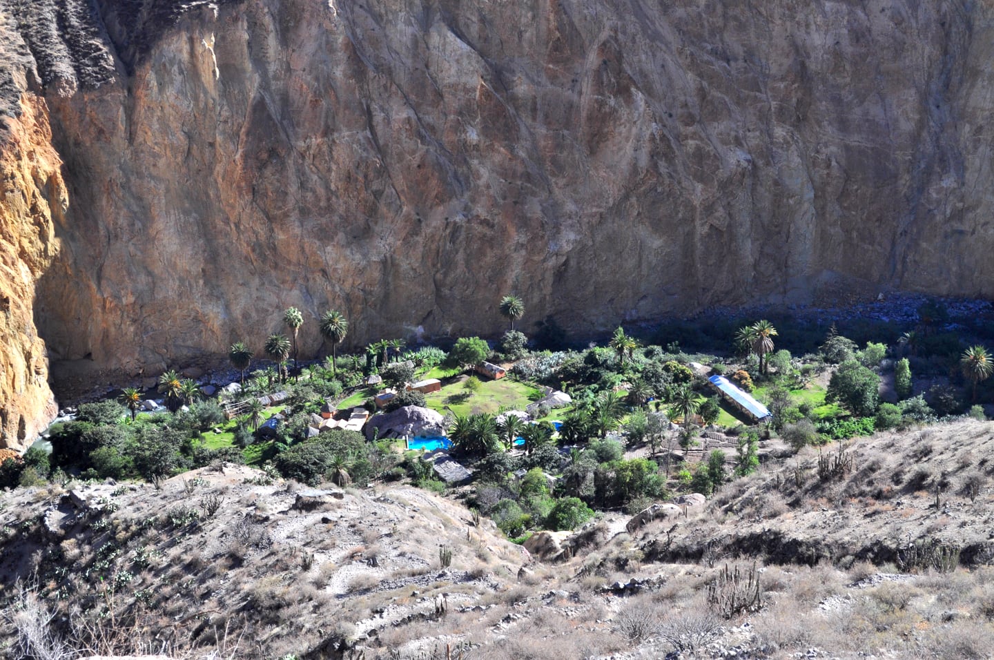 Trekking Colca Canyon Peru