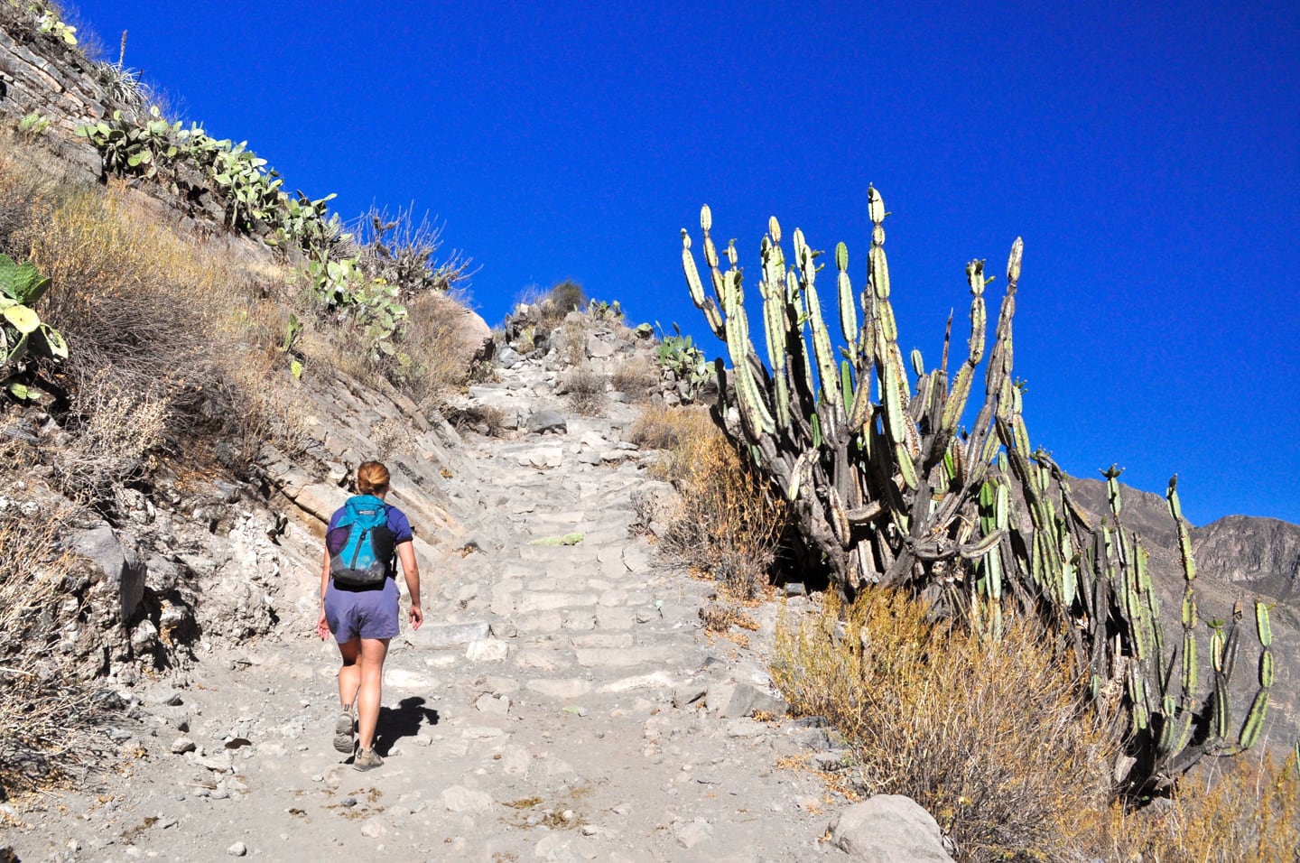 Trekking Colca Canyon Peru