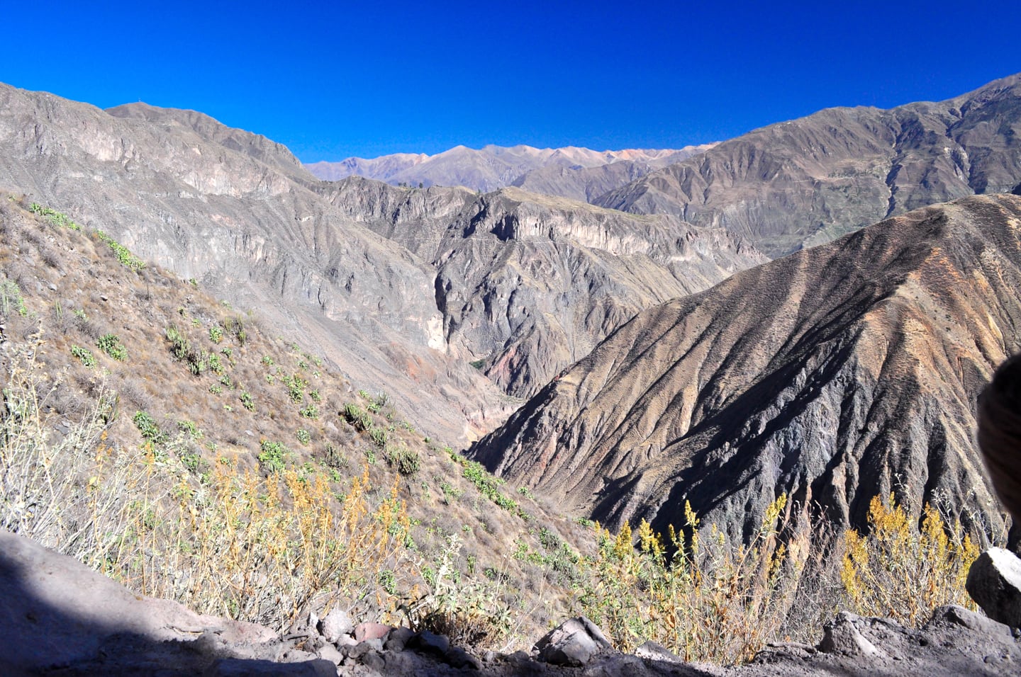 Trekking Colca Canyon Peru