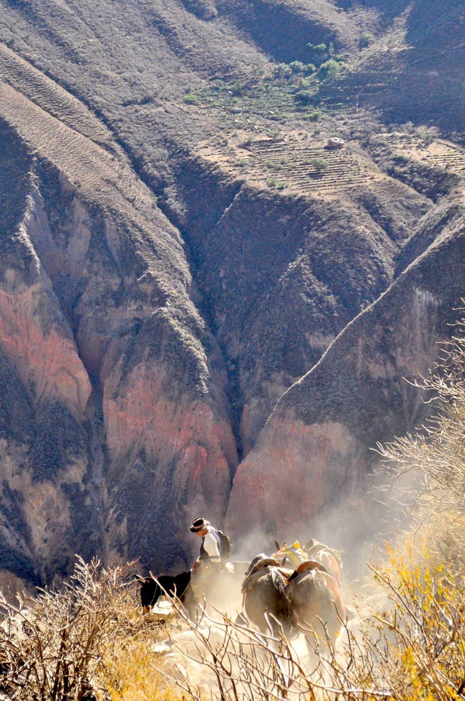 Trekking Colca Canyon Peru