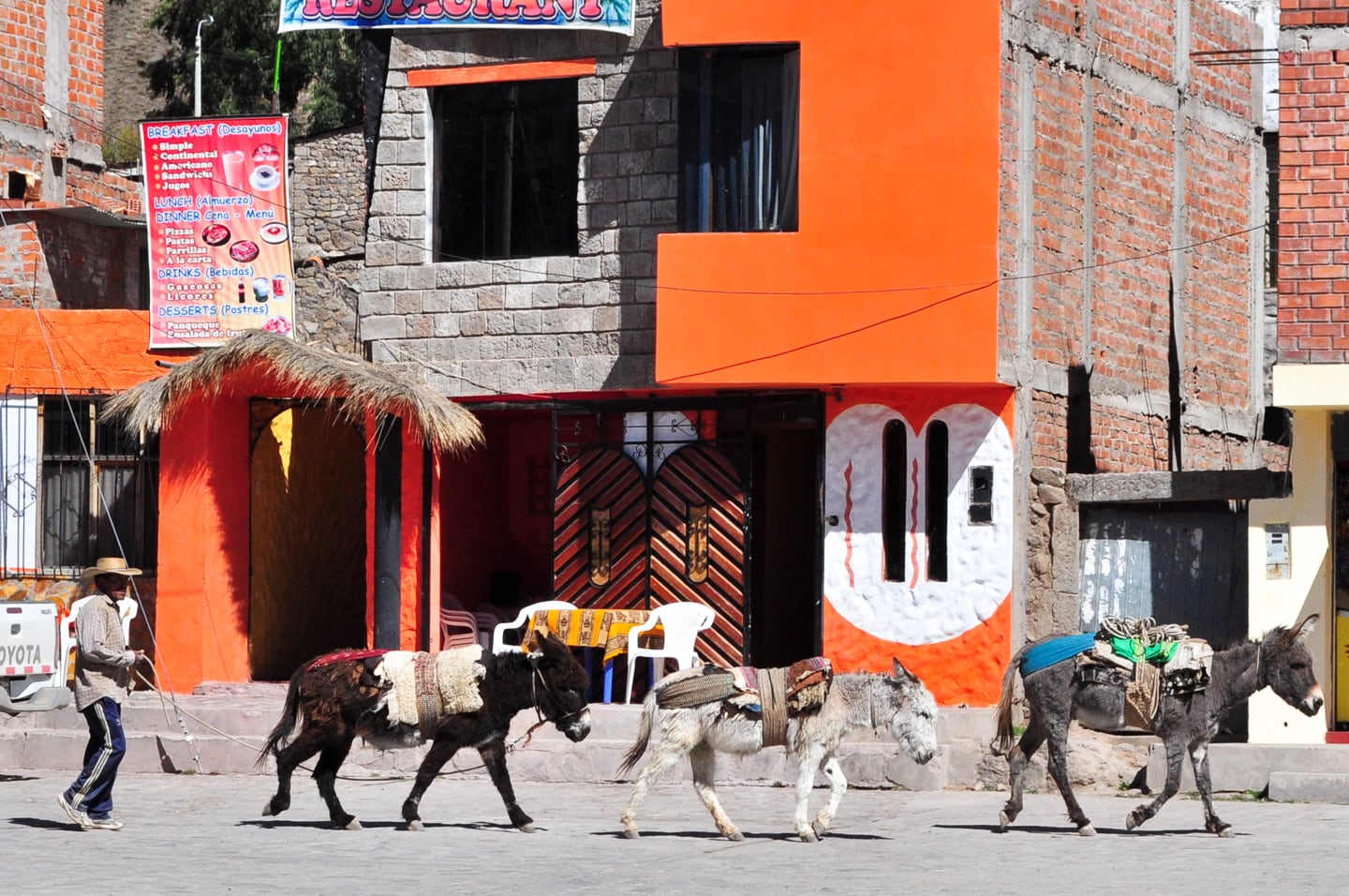 Trekking Colca Canyon Peru