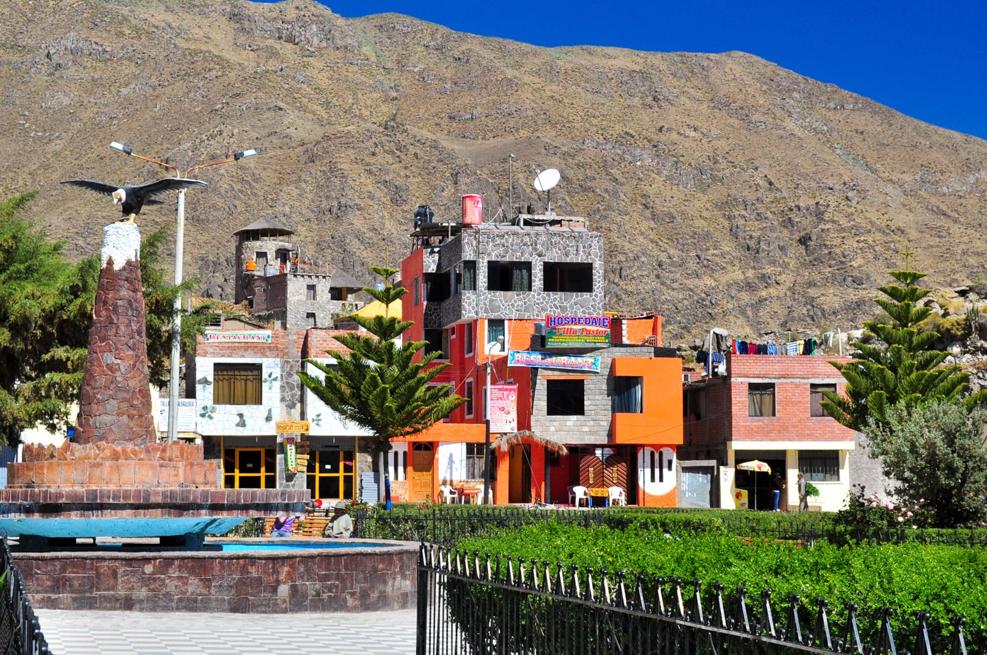 Trekking Colca Canyon Peru
