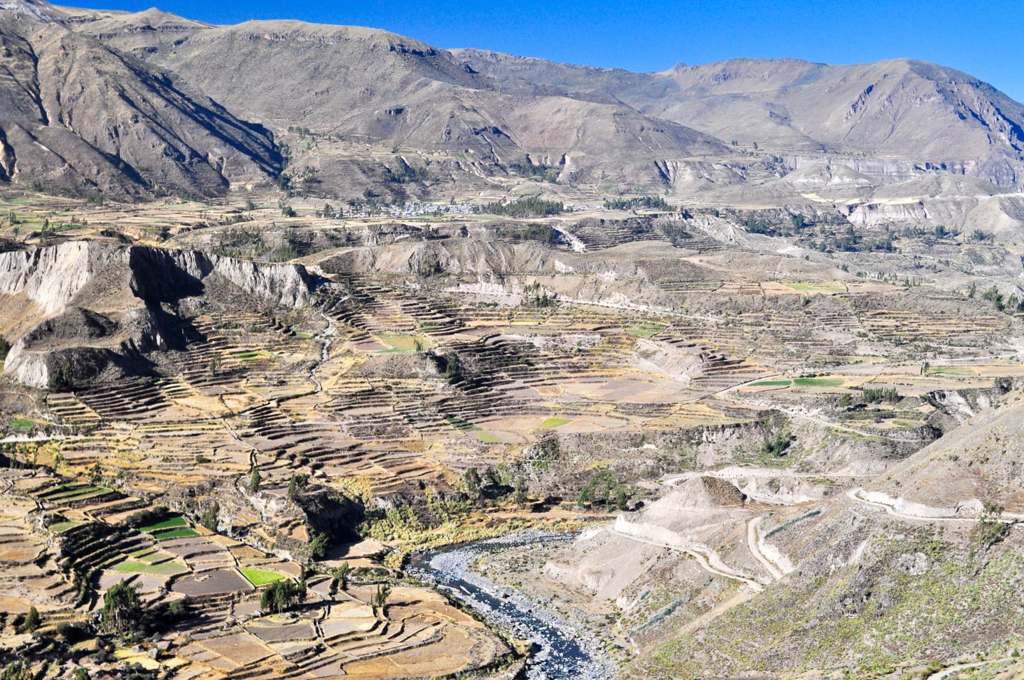 Trekking Colca Canyon Peru