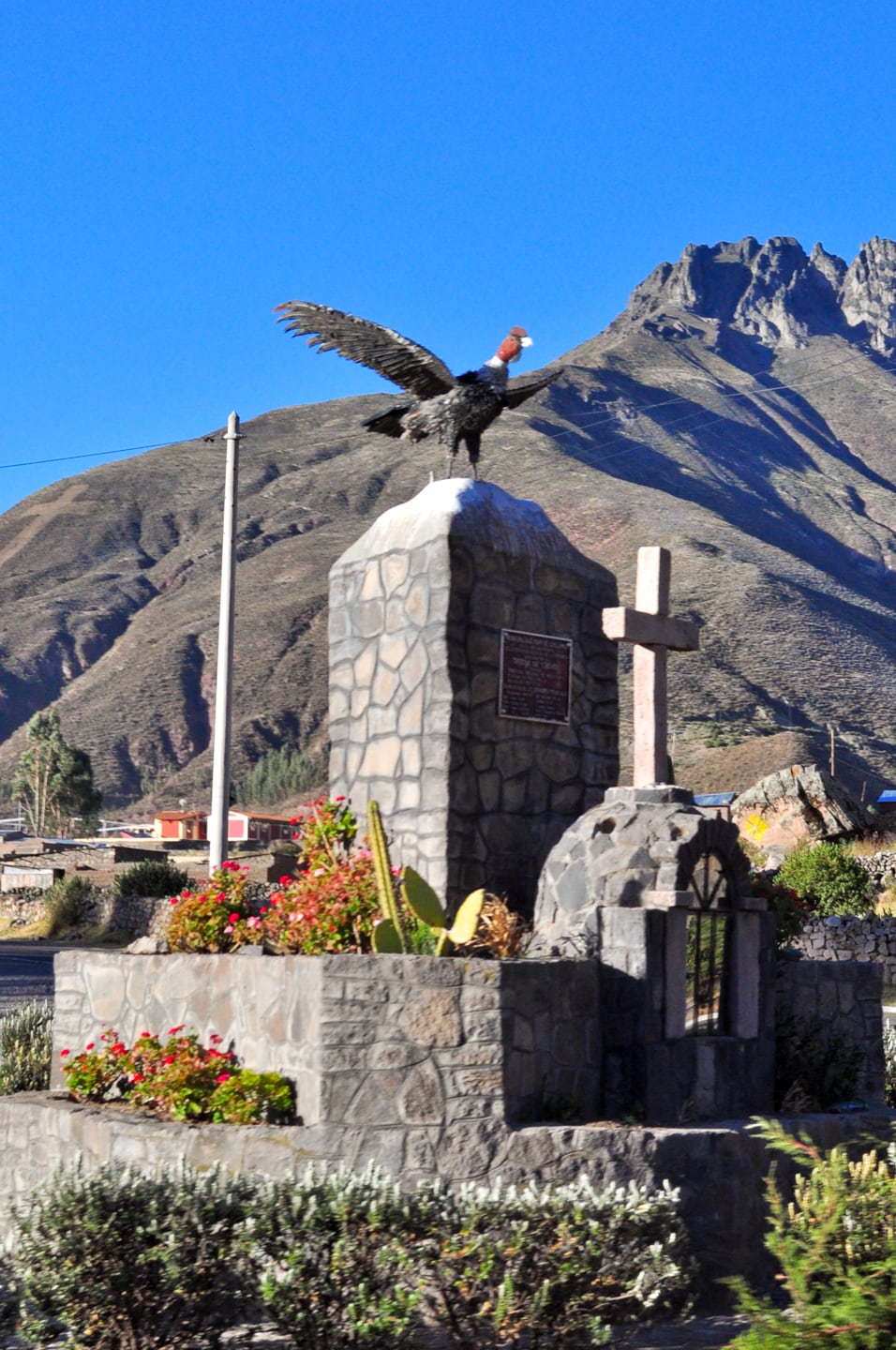 Trekking Colca Canyon Peru
