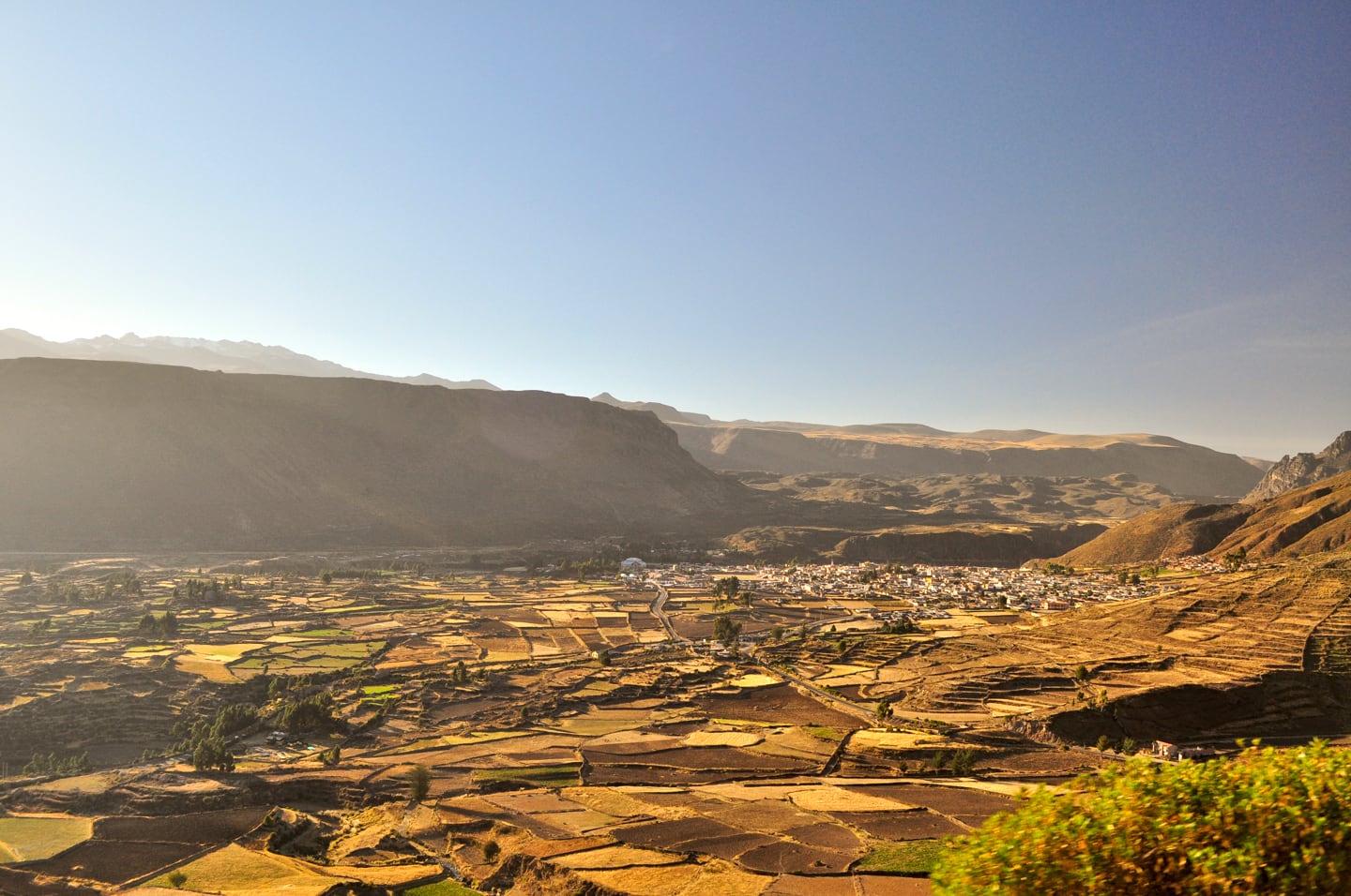 Trekking Colca Canyon Peru