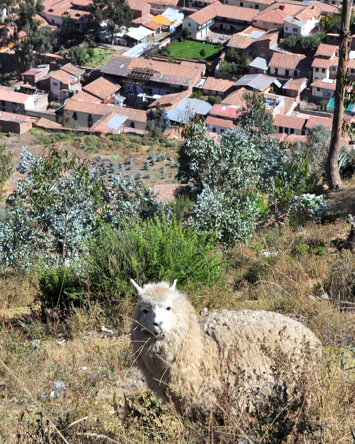 Cuzco Peru Capital of the Inca Empire