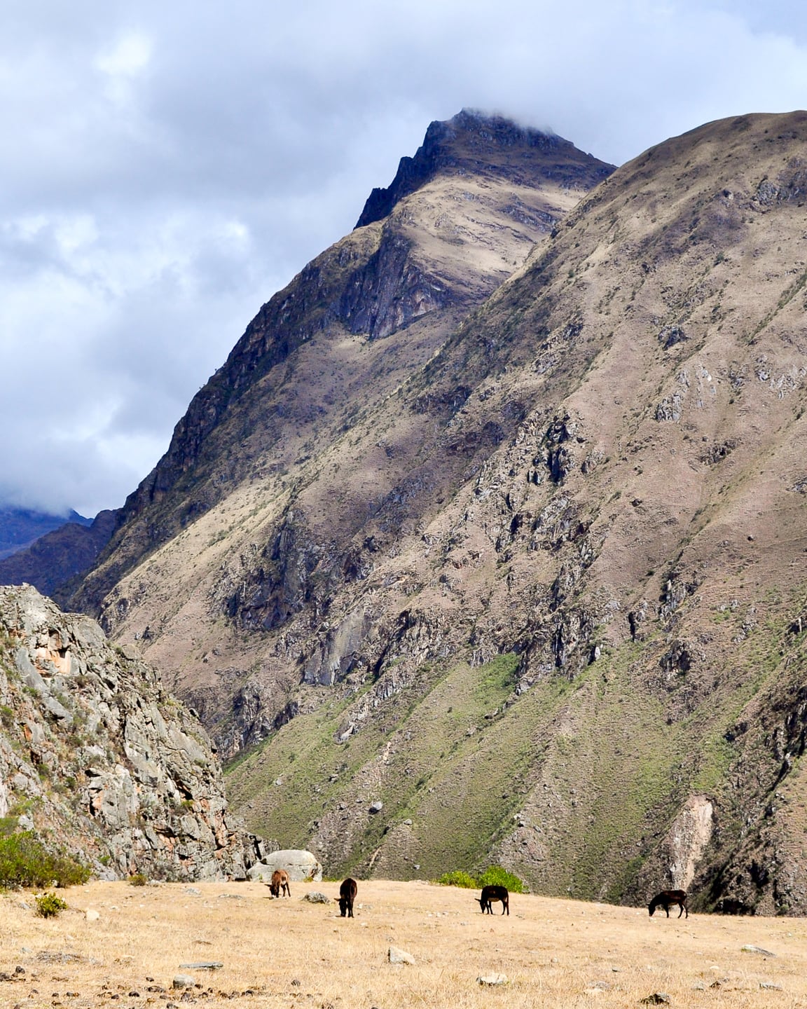 Peru Inca Trail Trek to Machu Picchu