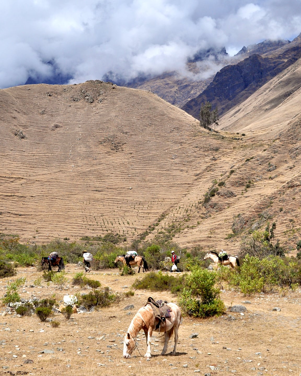 Peru Inca Trail Trek to Machu Picchu