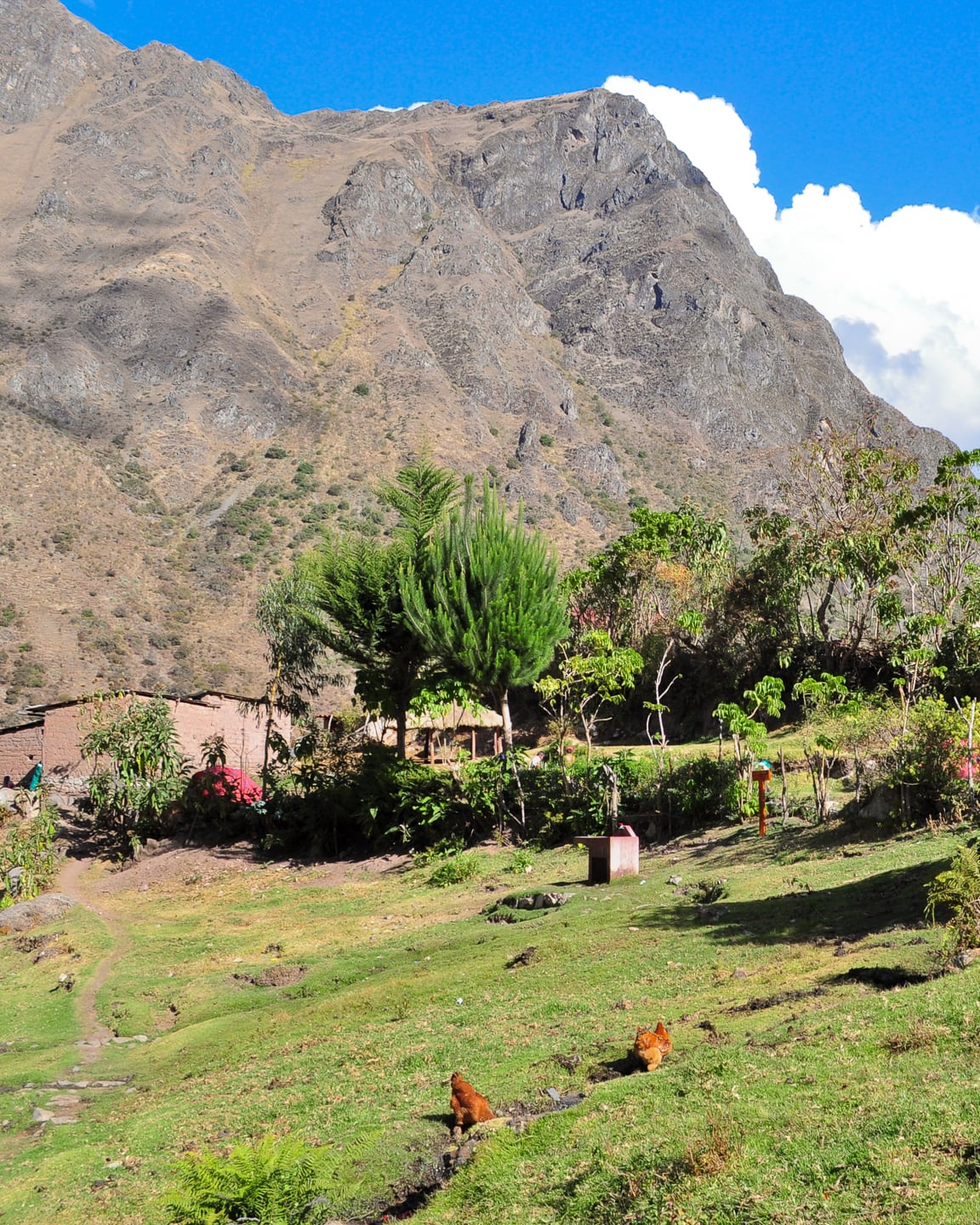 Peru Inca Trail Trek to Machu Picchu