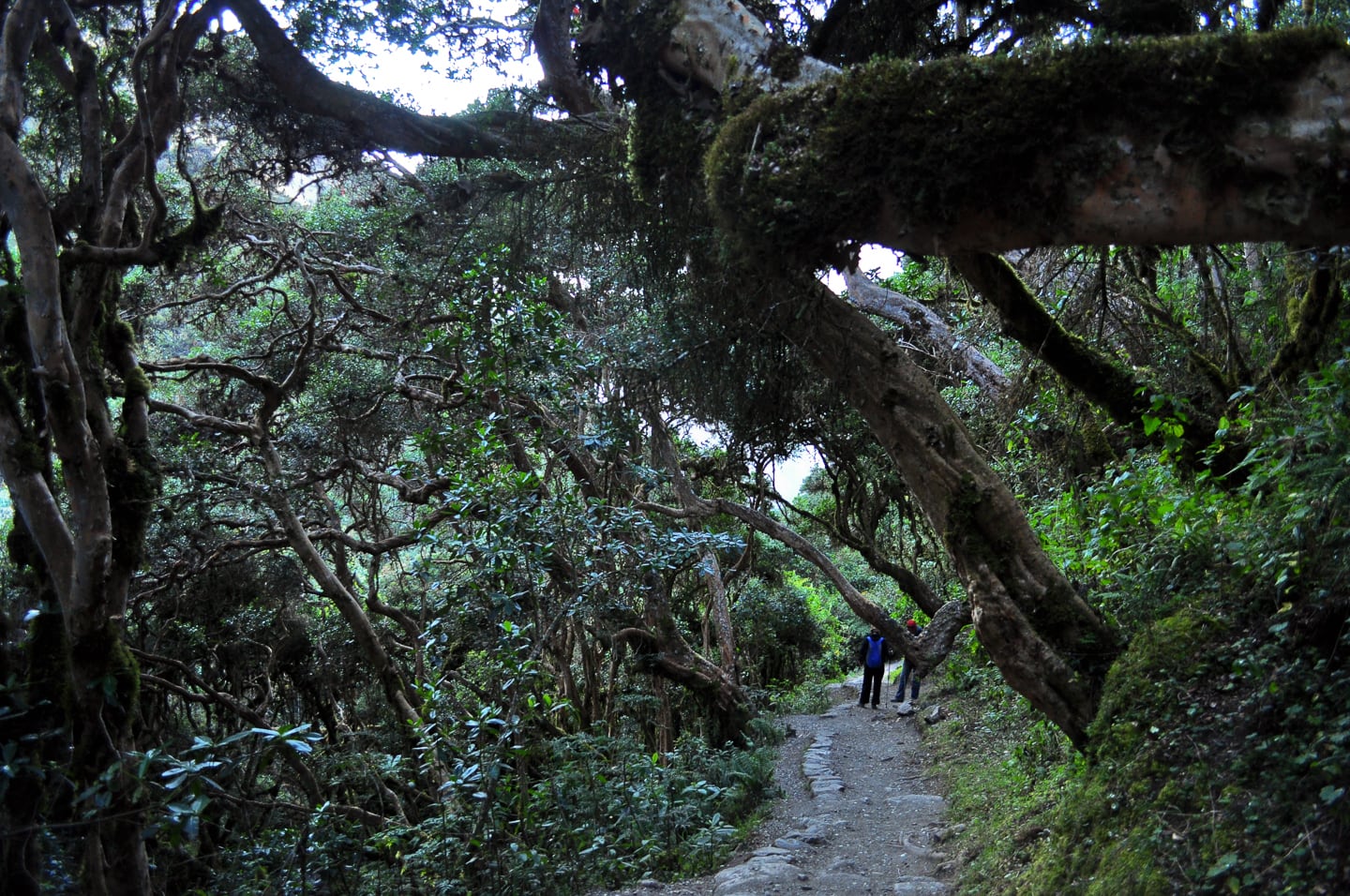Peru Inca Trail Trek to Machu Picchu