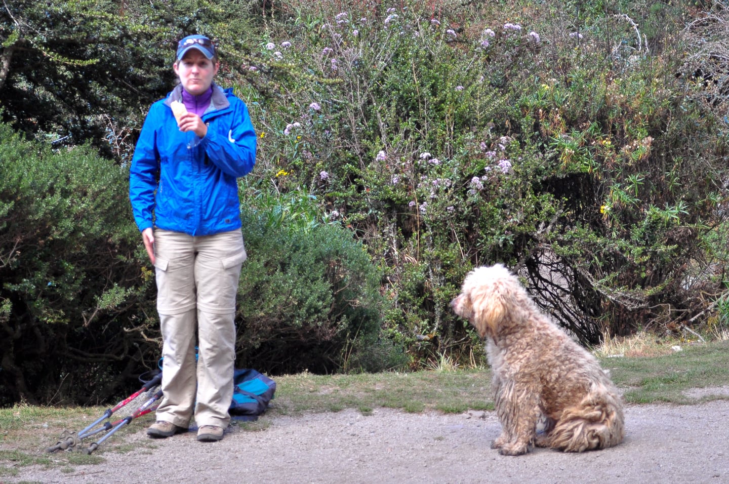 Peru Inca Trail Trek to Machu Picchu
