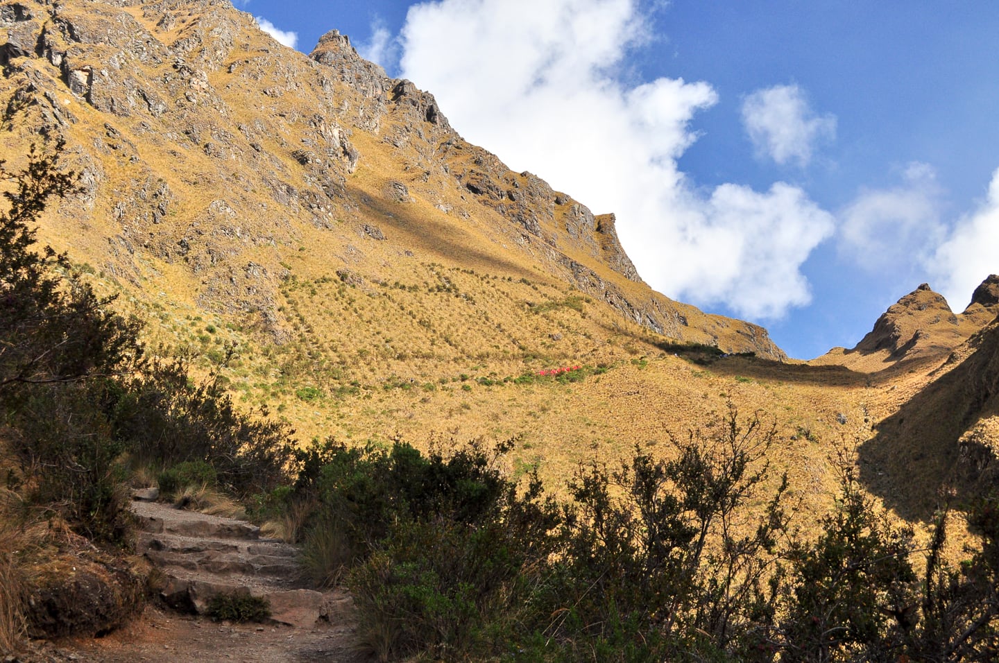 Peru Inca Trail Trek to Machu Picchu