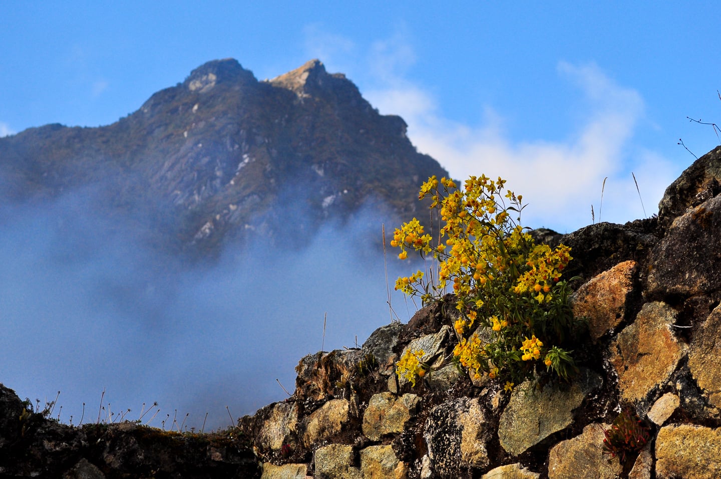 Peru Inca Trail Trek to Machu Picchu