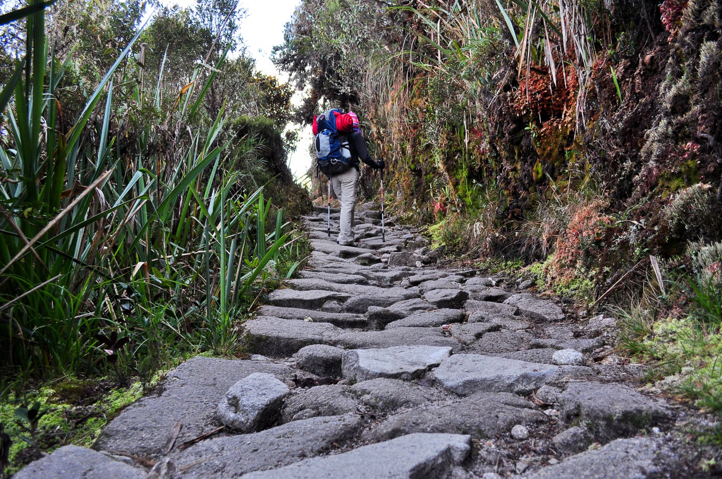 Peru Inca Trail Trek to Machu Picchu