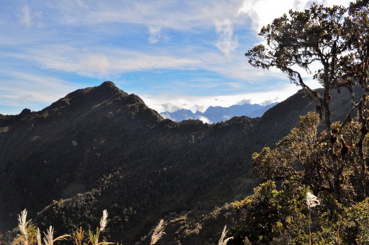 Peru Inca Trail Trek to Machu Picchu