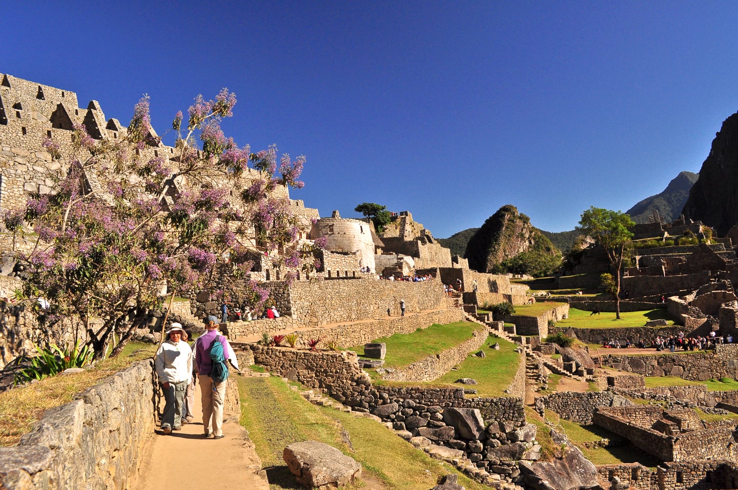 Peru Inca Trail Trek to Machu Picchu