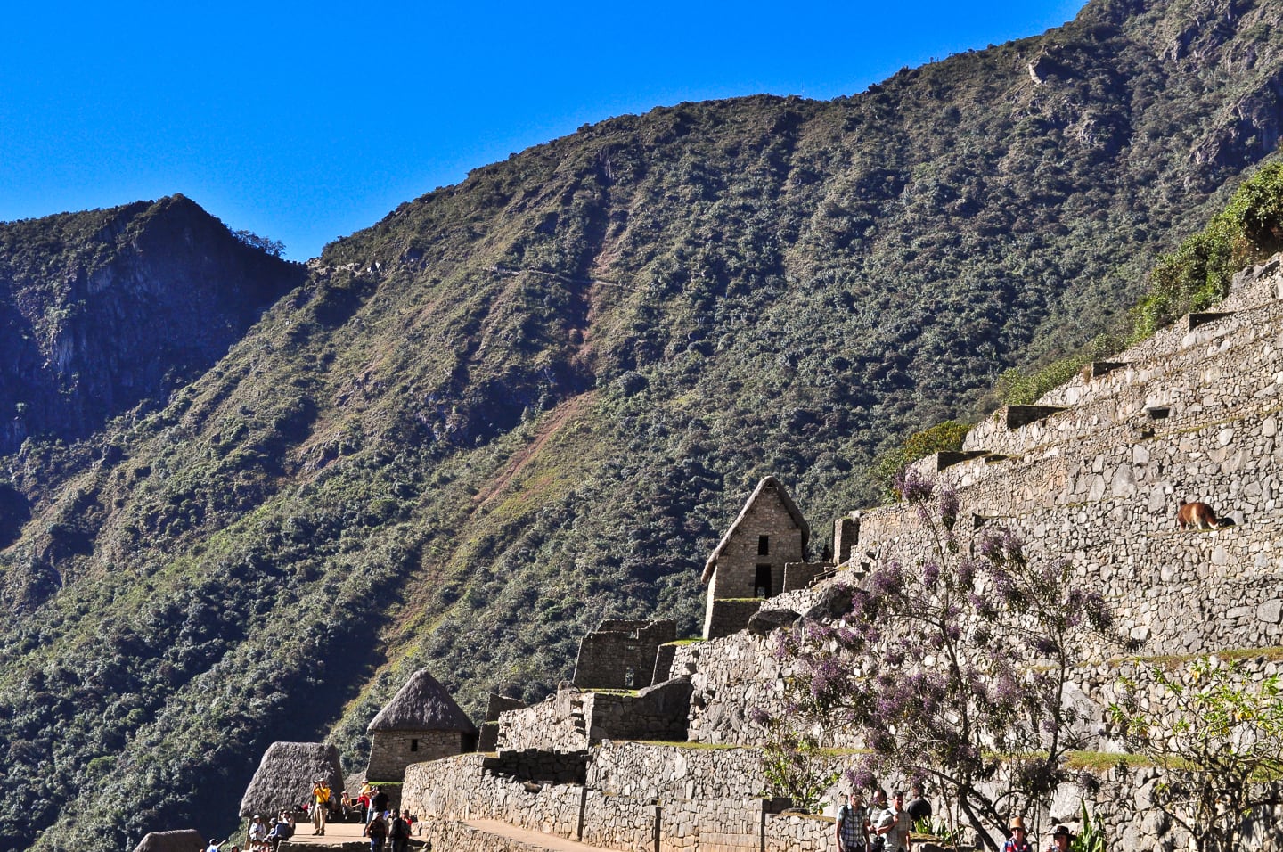 Peru Inca Trail Trek to Machu Picchu