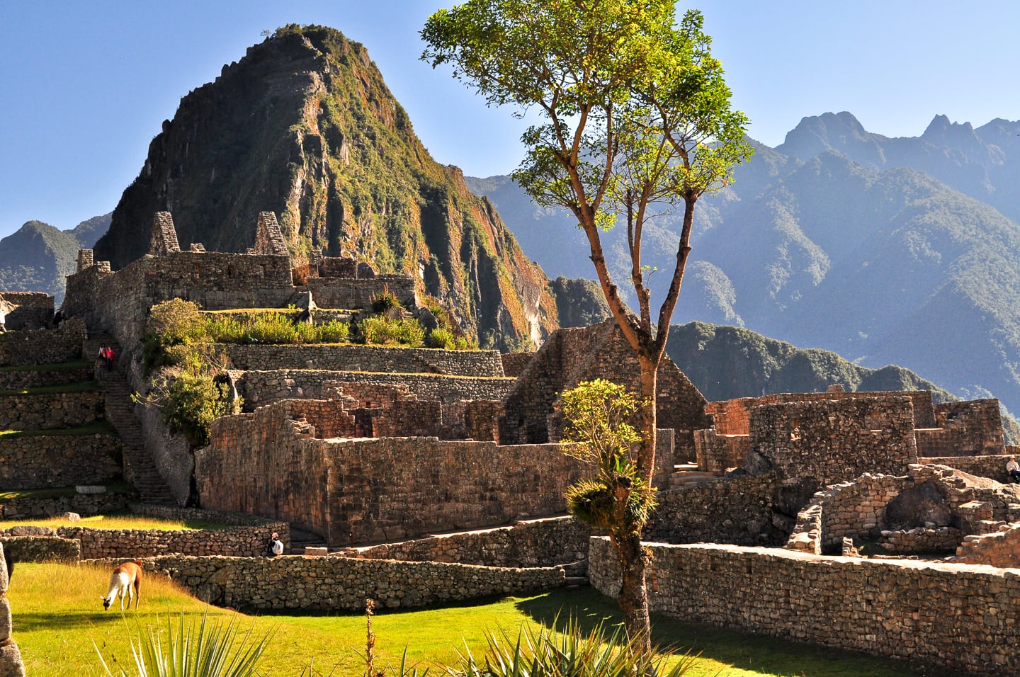 Peru Inca Trail Trek to Machu Picchu