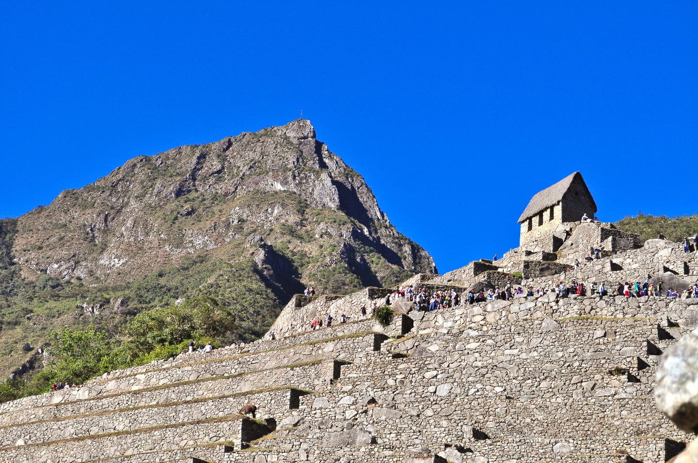 Peru Inca Trail Trek to Machu Picchu