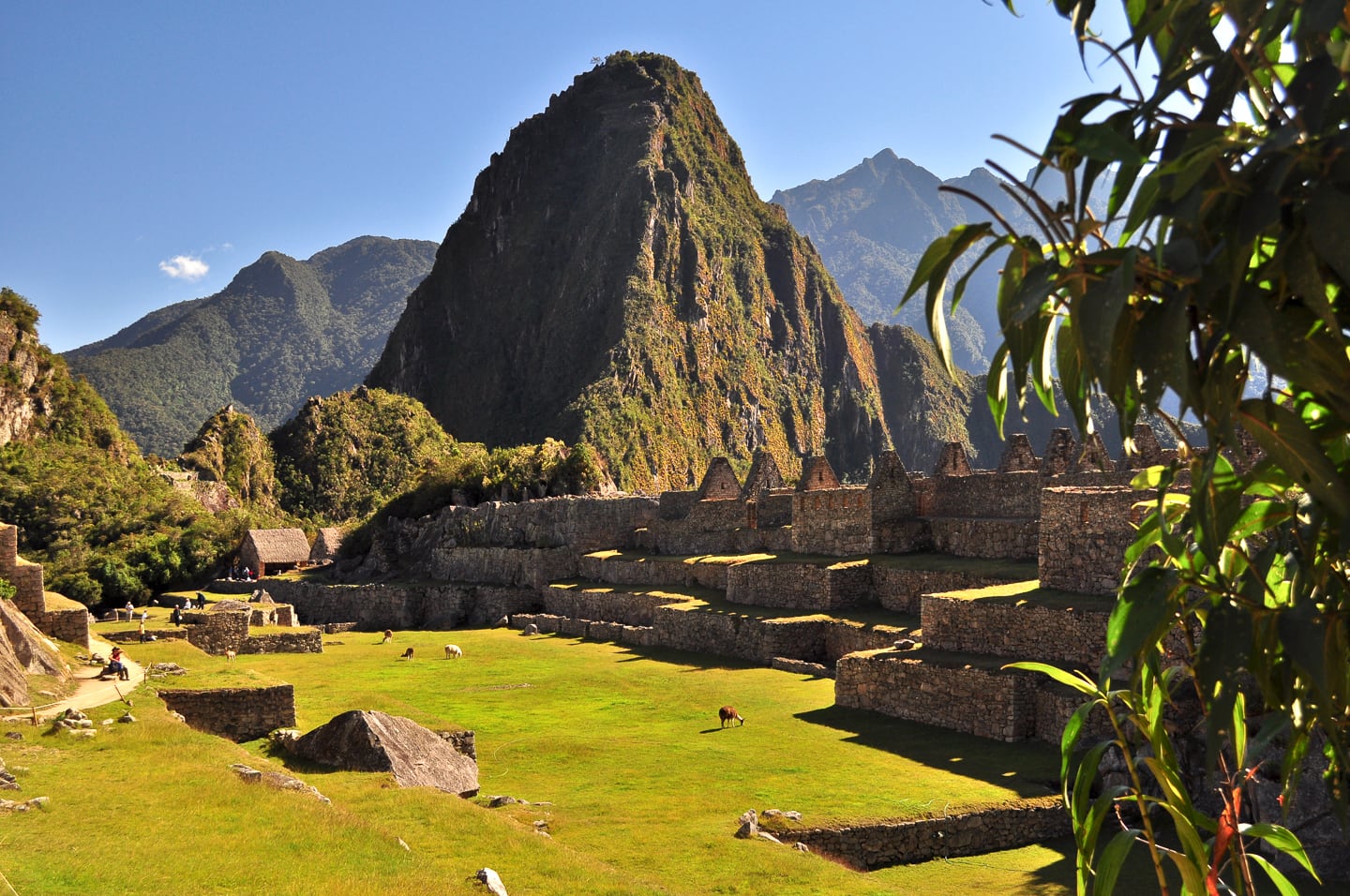 Peru Inca Trail Trek to Machu Picchu