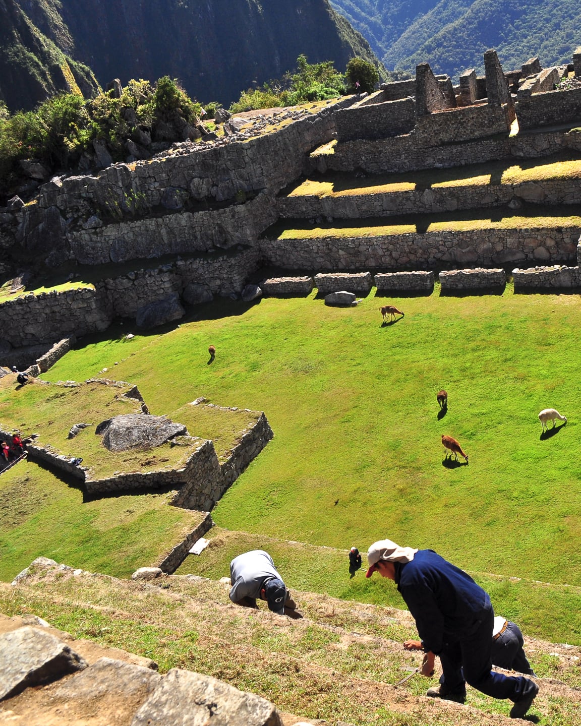 Peru Inca Trail Trek to Machu Picchu