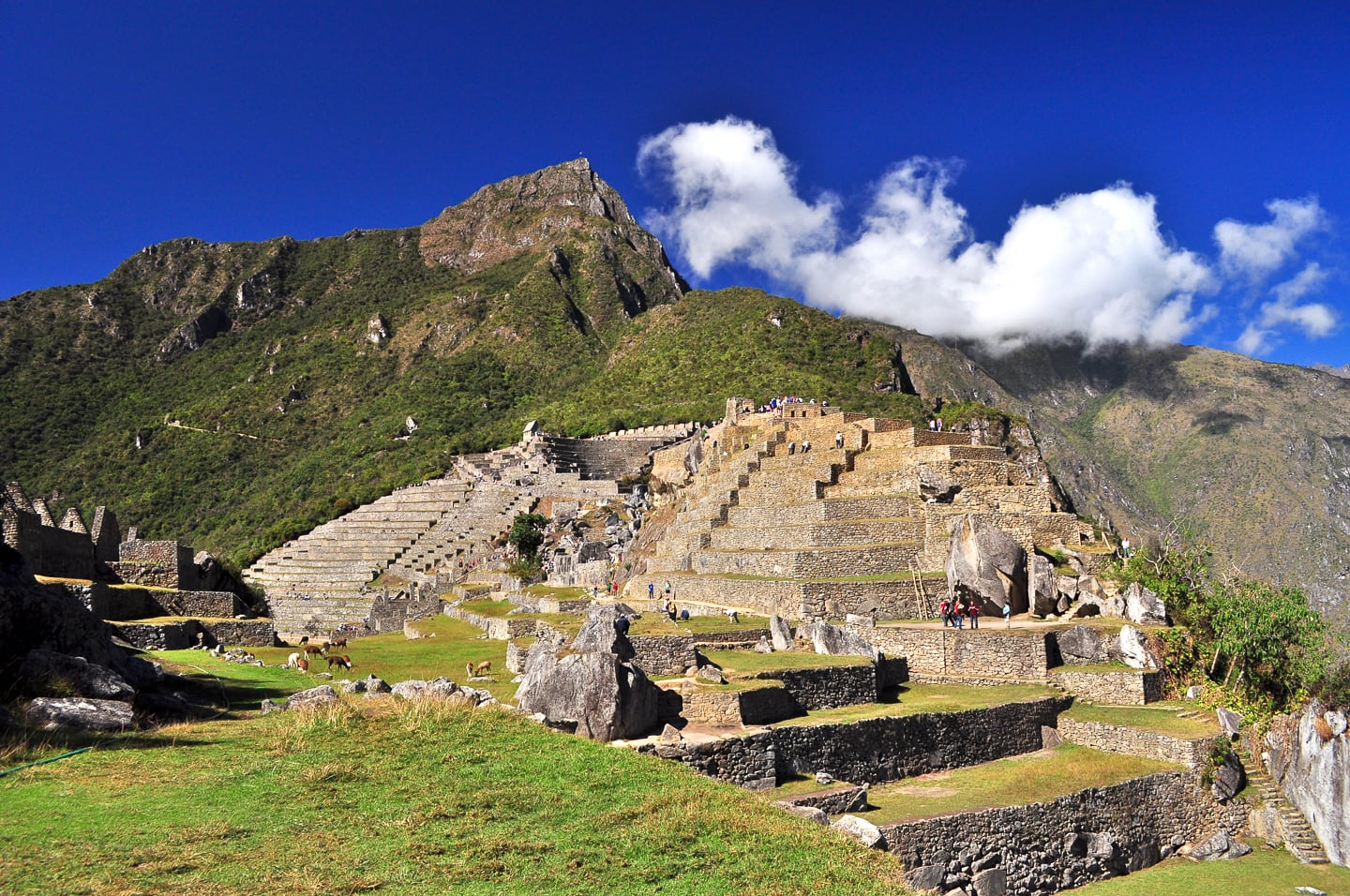 Peru Inca Trail Trek to Machu Picchu