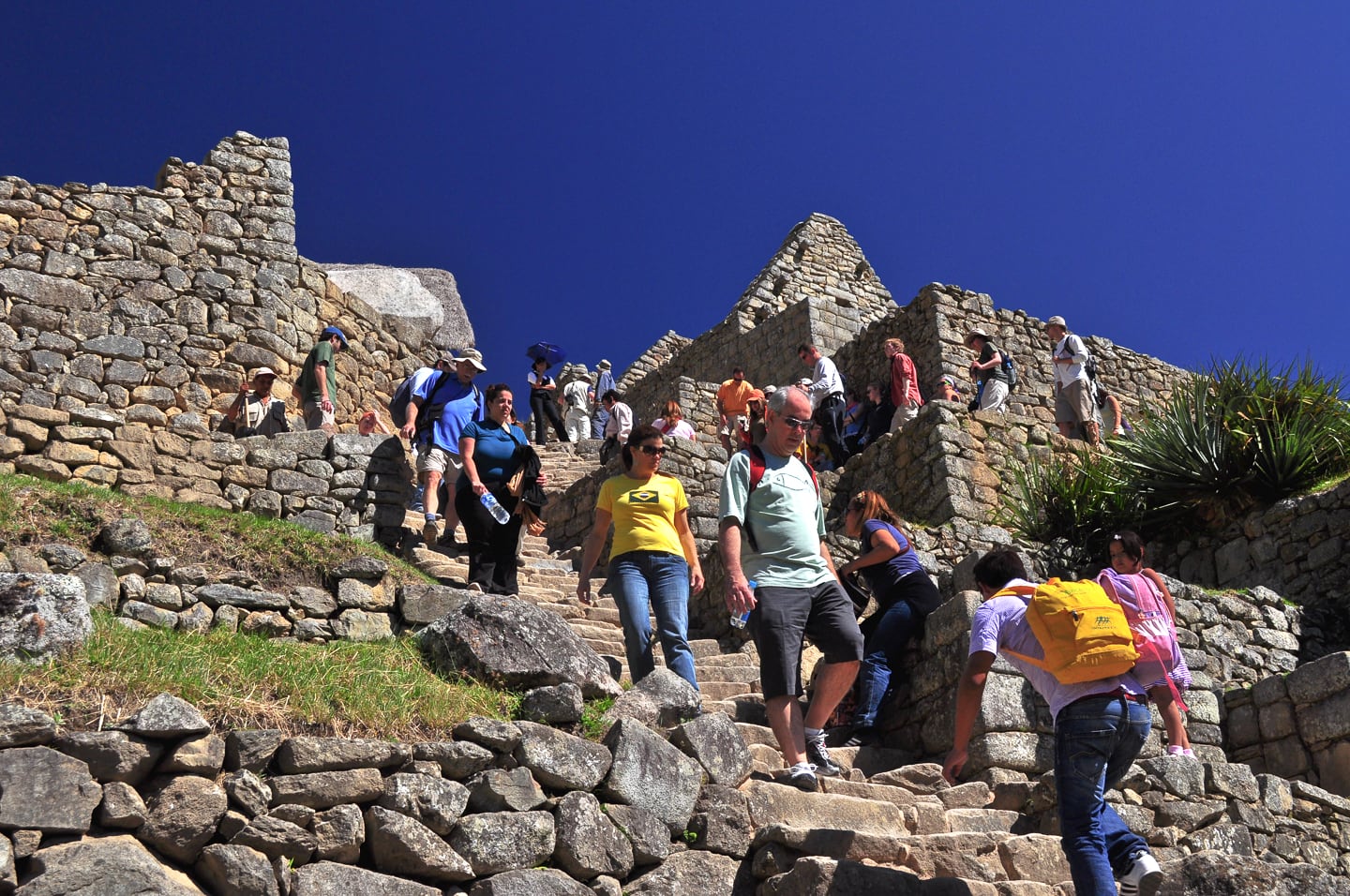 Peru Inca Trail Trek to Machu Picchu
