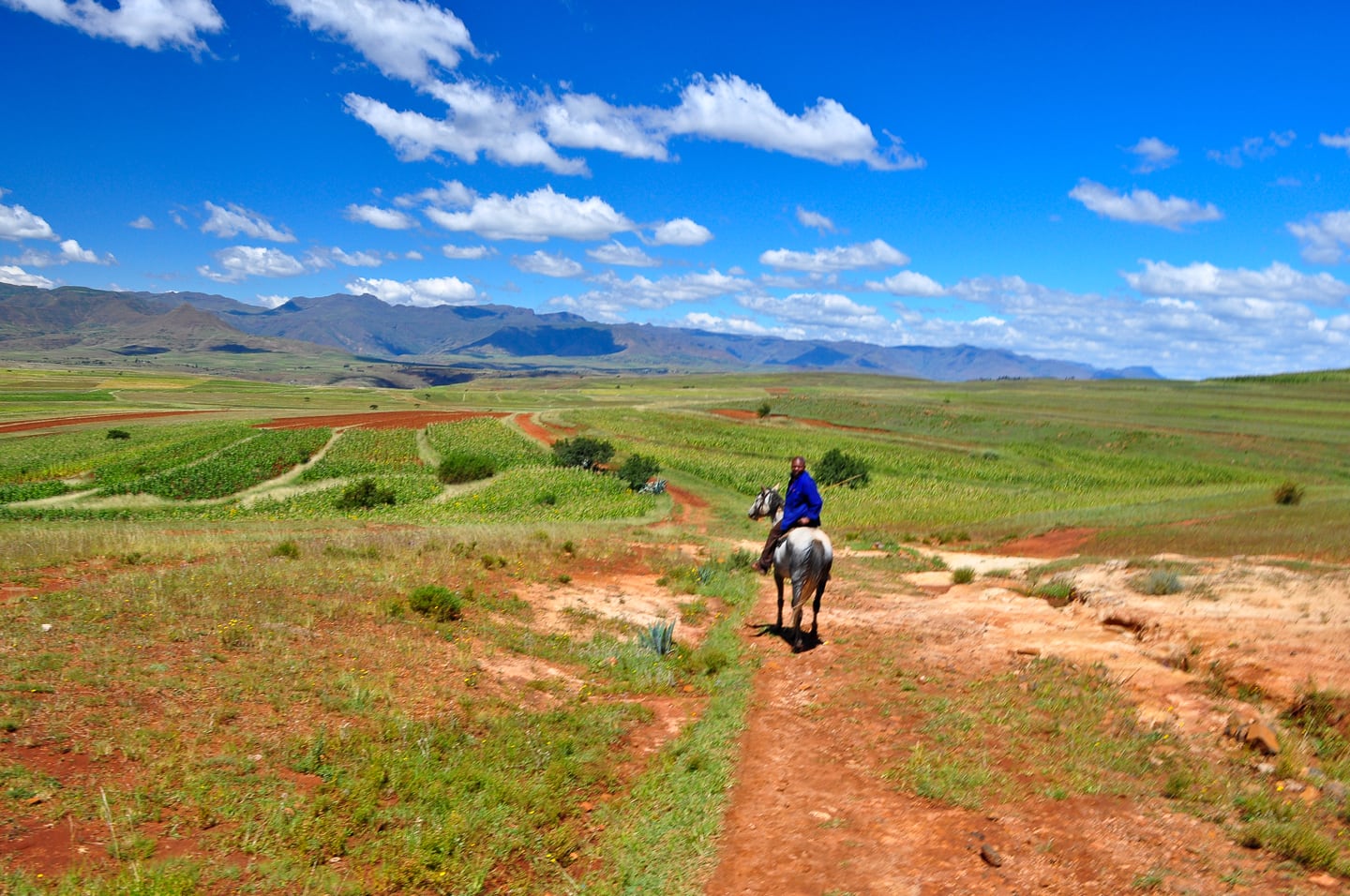 pony trekking Lesotho green rolling hills and blue sky