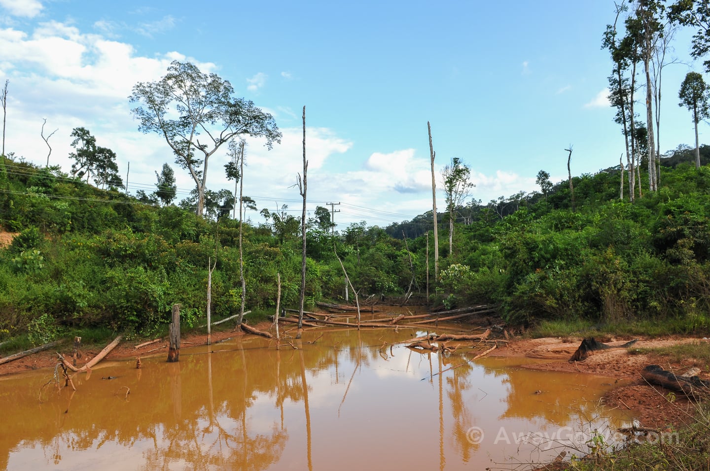 muddy pond near wooded hillside in laos