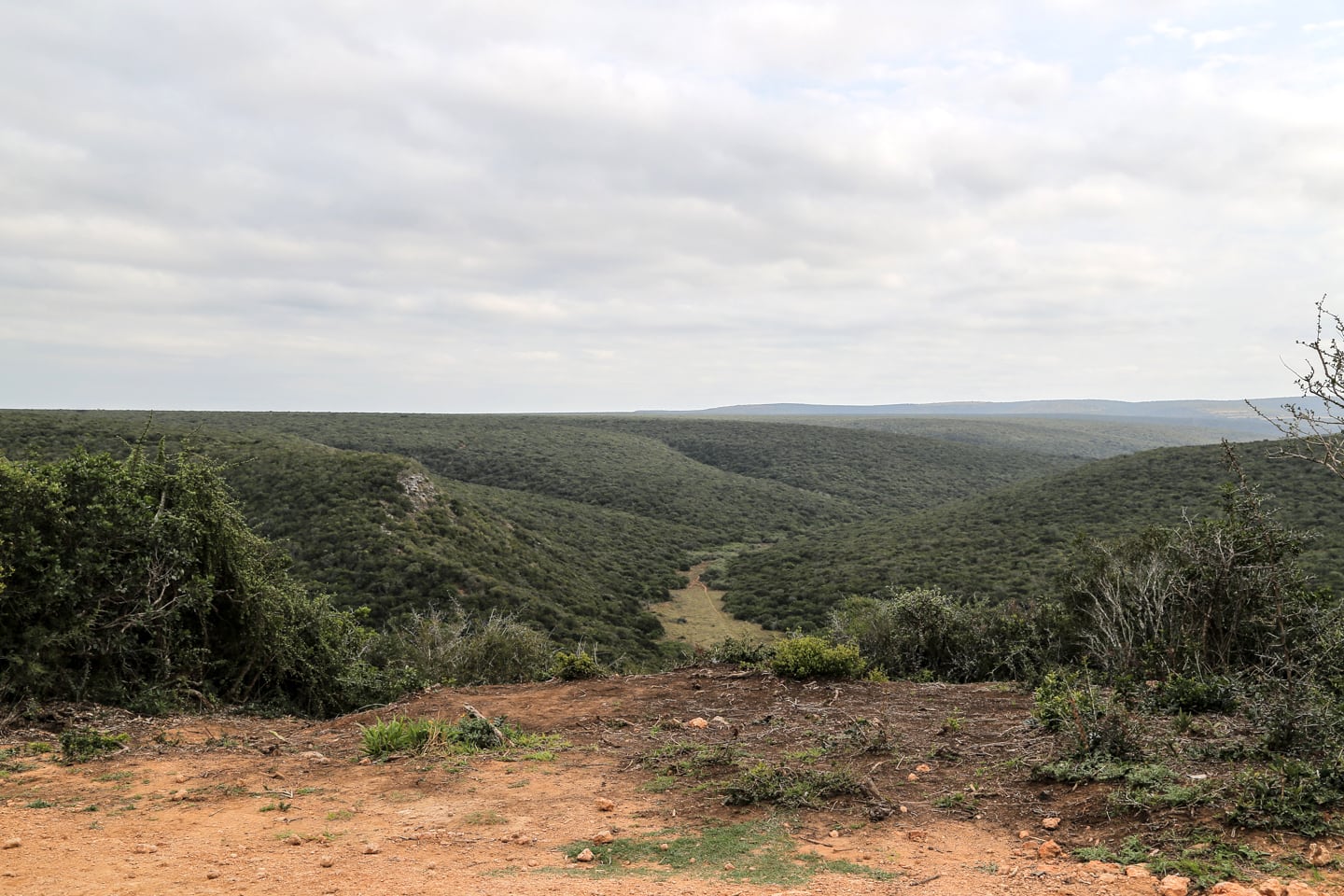 the valley surrounding Addo Elephant National Park