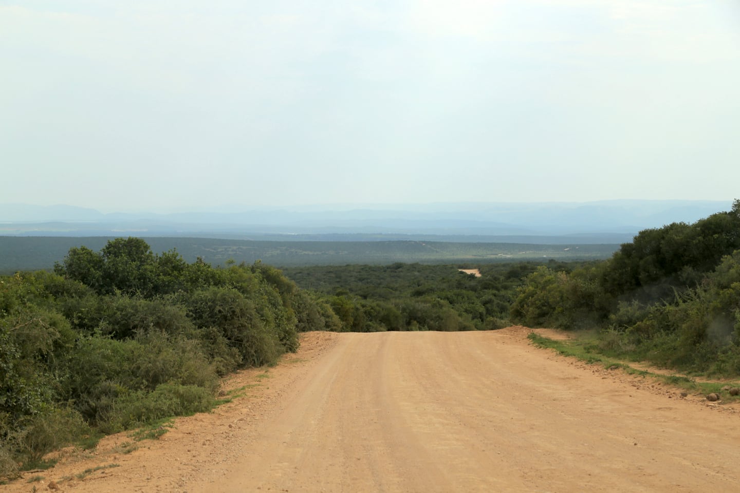 dusty road inside Addo Elephant National Park South Africa