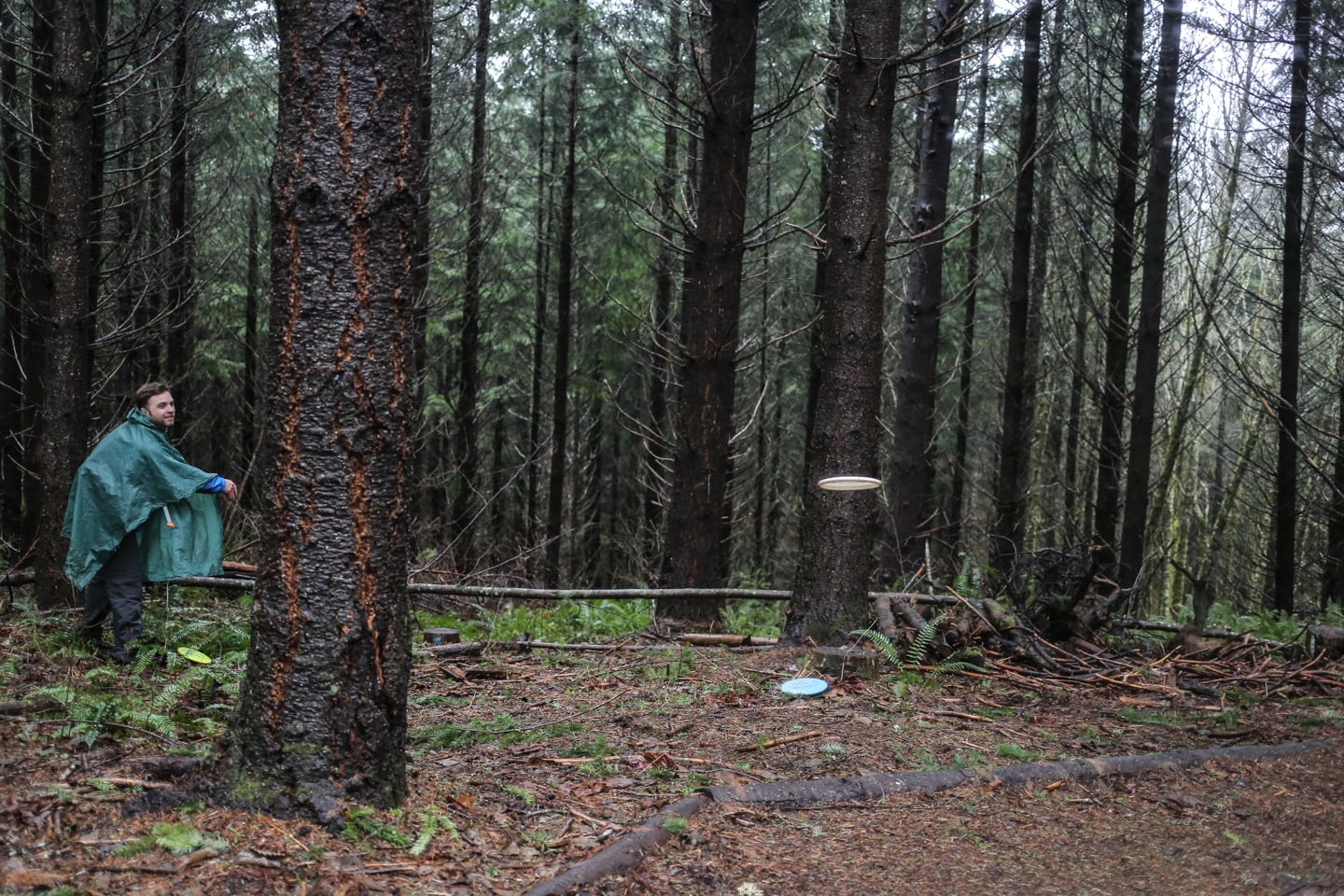 man playing disc golf in the Pacific Northwest woods