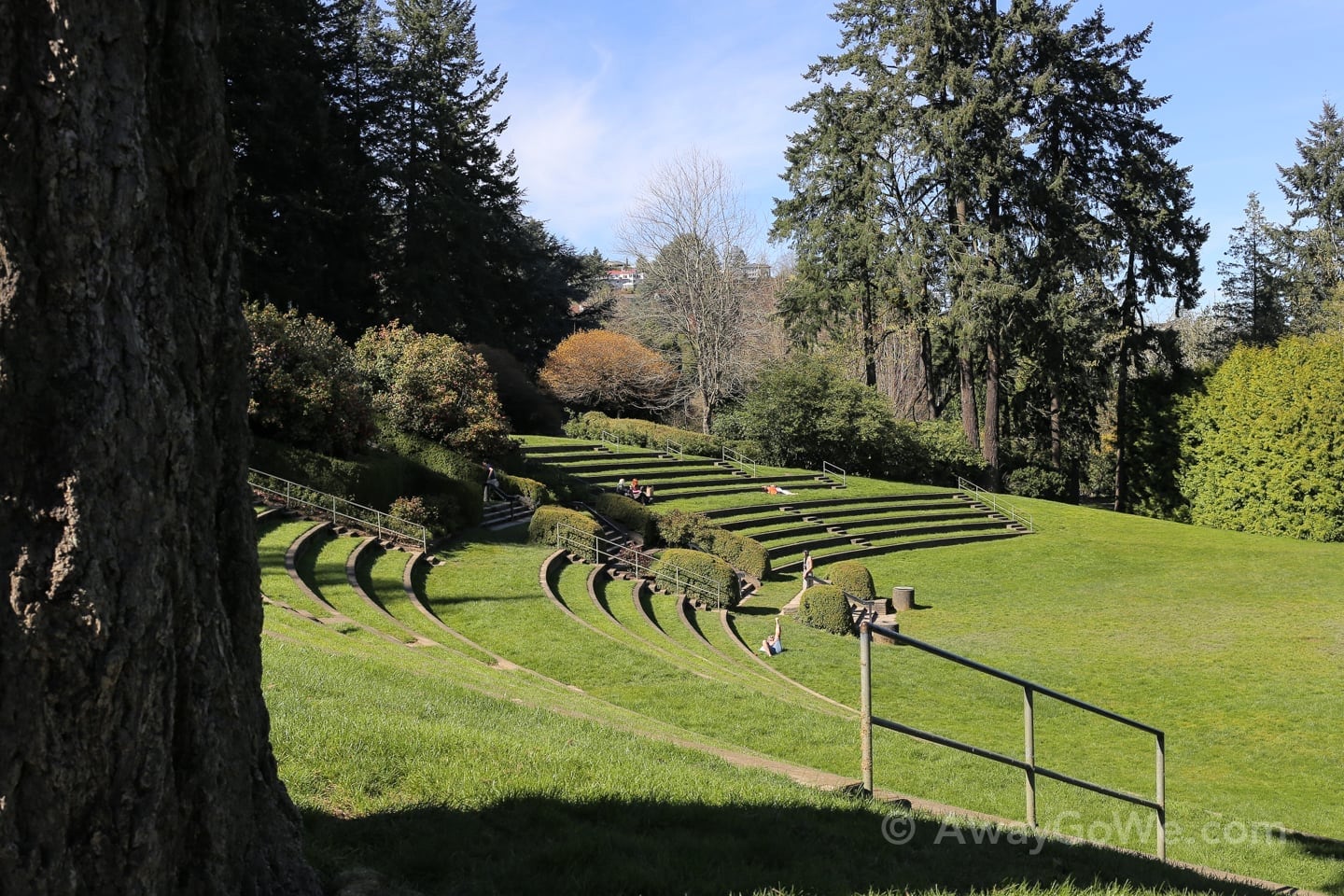 Washington Park Amphitheater Portland Oregon