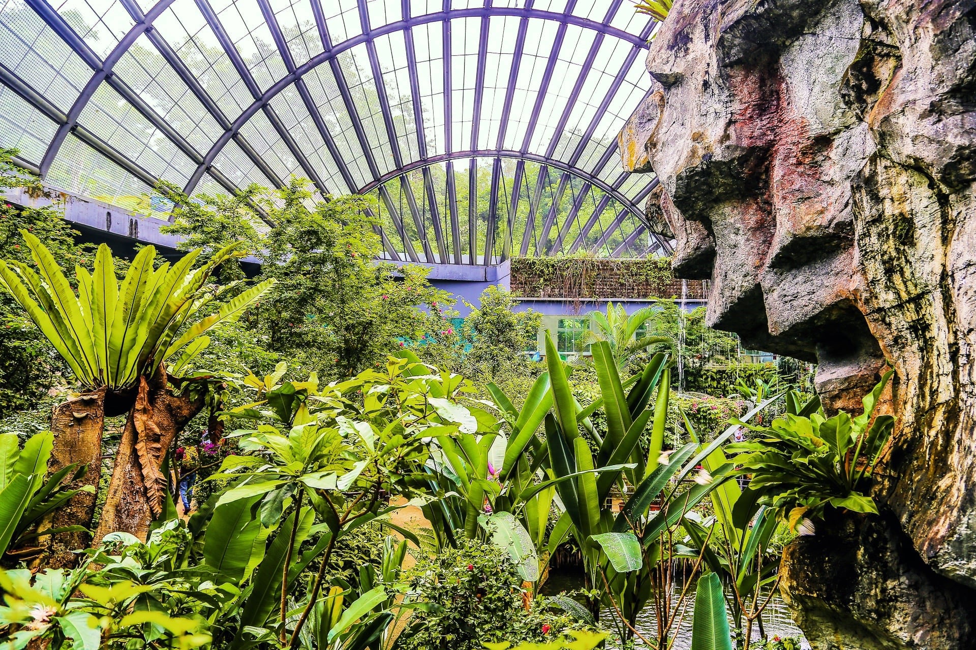 Entopia by Penang Butterfly Farm Entopia by Penang Butterfly Farm Malaysia