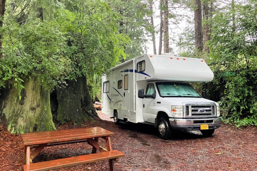 Redwoods to Rio Vista roseburg-to-rio-vista-featured_5104