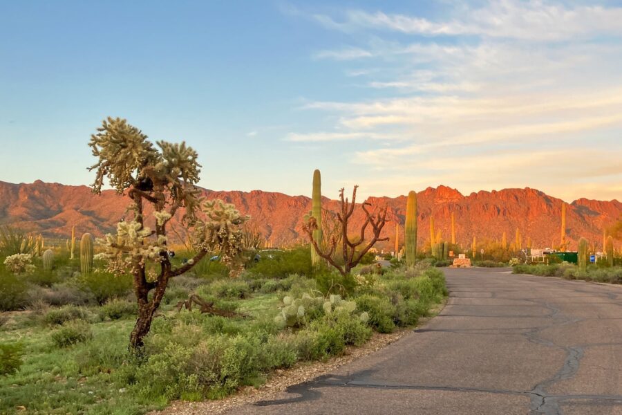 scottsdale-tucson-featured-img_5338