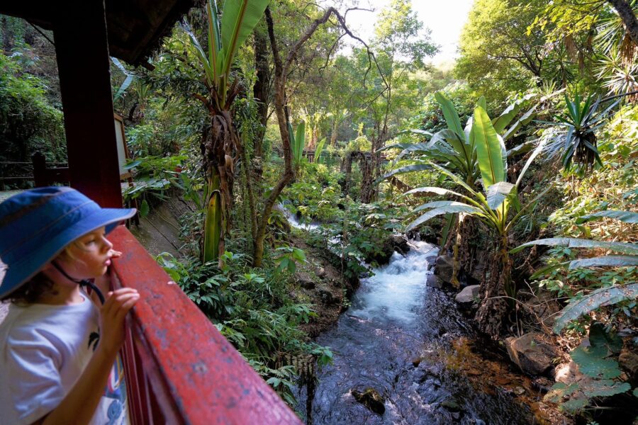 Uruapan and the Purépecha Highlands uruapan-michoacan-featured-dsc05444